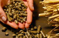 free Tokers Green biomass boiler quotes